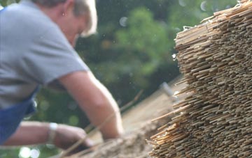 professional East Aberthaw thatchers